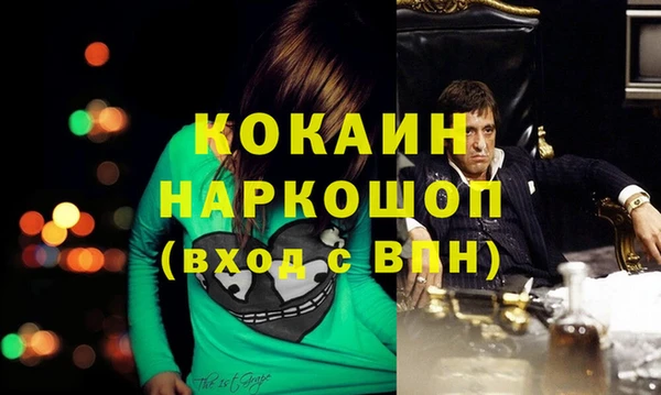 прущие грибы Арсеньев